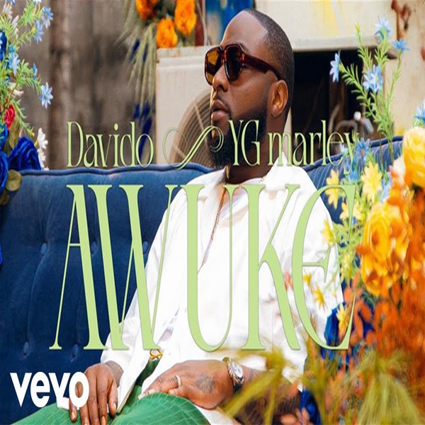 NEW VIDEO: Davido & YG Marley – Awuke