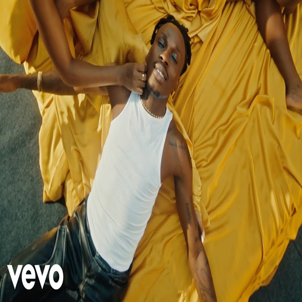 NEW VIDEO: Fireboy DML ft. Seun Kuti – Ecstasy